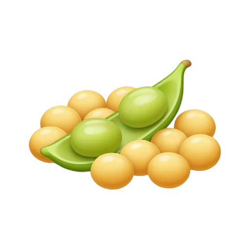 Golden soybeans beside a green pod showing two beans