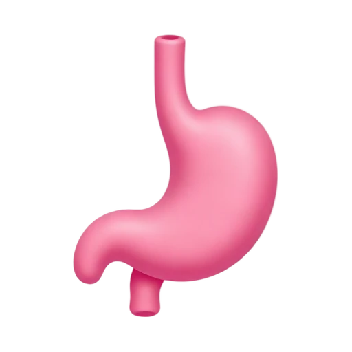 Pink stomach anatomy emoji