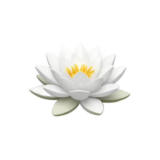 Water Lily with many pointed white petals and yellow central stamens